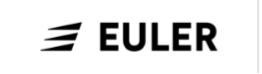 Euler Motors